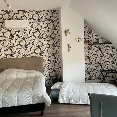 Centre De : Superbe Neuf Apartment